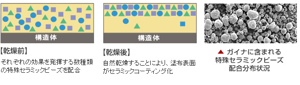 ガイナ構造