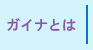 ガイナとは