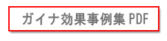 ガイナ効果一覧